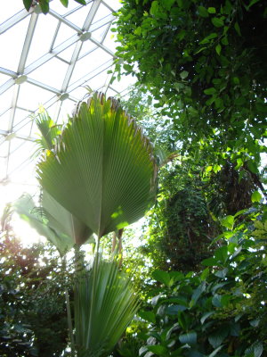 DSC00295.JPG