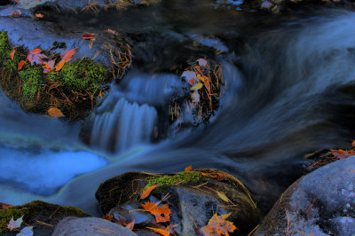 DP_1101.jpg