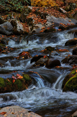DP_1132.jpg