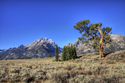 Grand Tetons in HDR