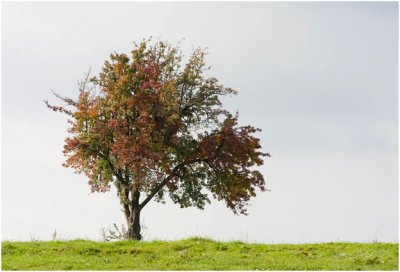 Schimmert - Klein Haasdal