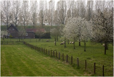 Geulle