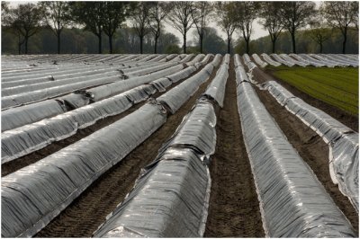 Sint Joost - Aspergetunnels