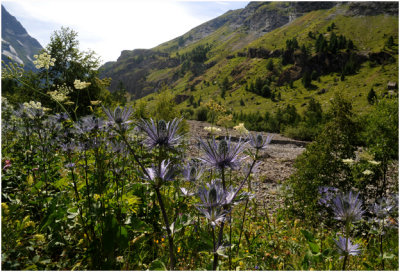 Vallée de Fournel - le site des Deslioures