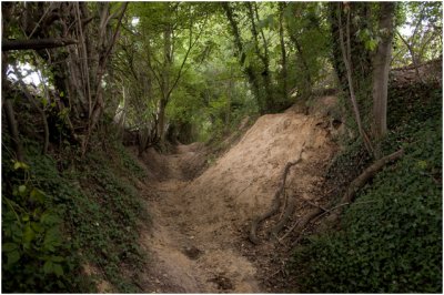 Gronsveld - Holle weg met dassenburchten