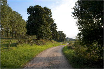 Nattenhoven onder aan de dijk van het Julianakanaal