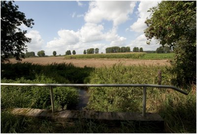 Grevenbicht - Koeweide - de Kingbeek