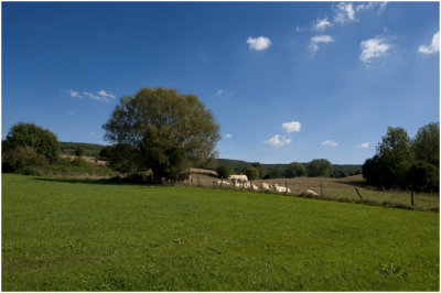 Cottesen