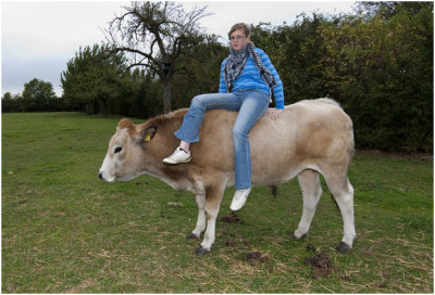 Melissa met de 3-jarige stier Weiky