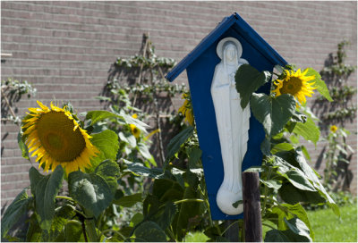Schimmert: Mariakapelletje in de tuin