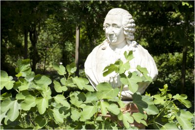 Hortus Botanicus - Carolus Linnaeus