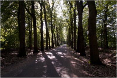 wandelen rondje Almen