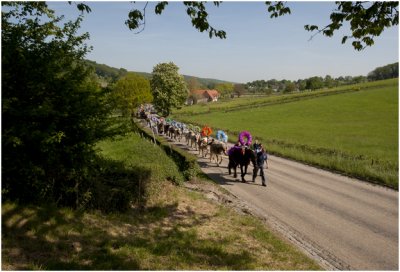 Jonkheid Banholt haalt mei-den op