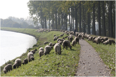 Kanaaldijk bij het Berixbeeldje