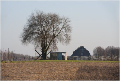 Fruitplantages