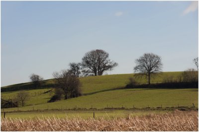 landschap in de richting van het Vrouwenbos