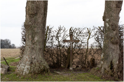  Keutenberg - Veldkruis met Lindenbomen