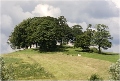 Vaals
