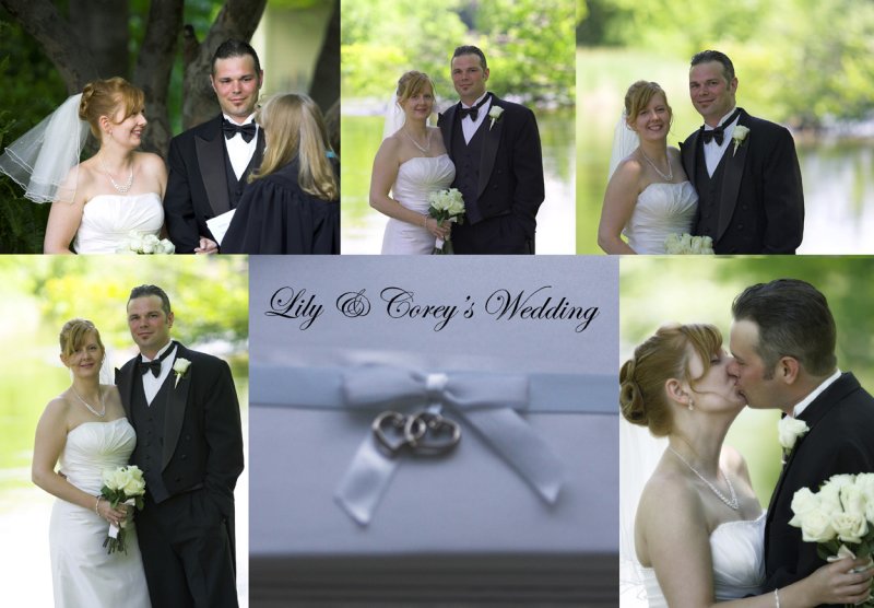 Wedding Log collage copy.jpg