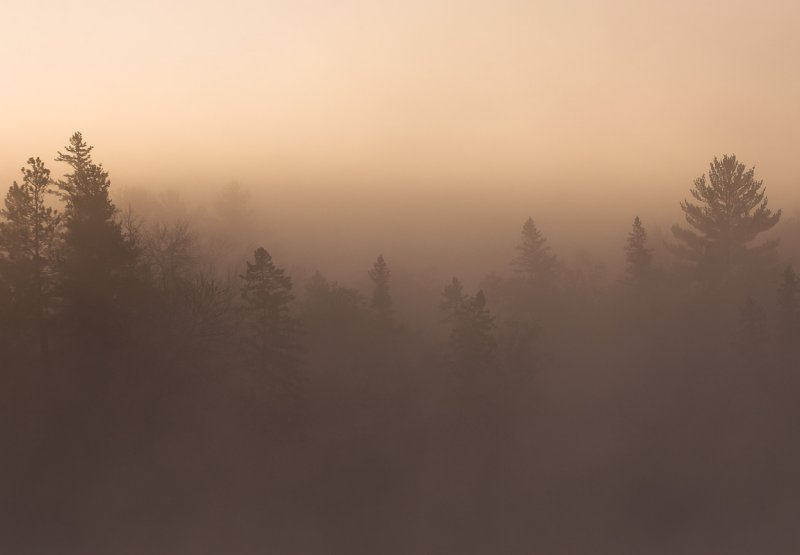 Foggy Sunrise 3.jpg