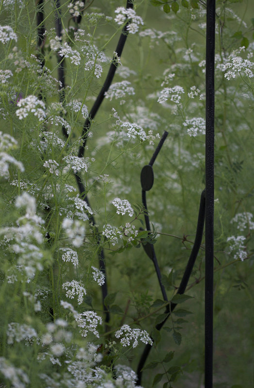 Garden gate.jpg