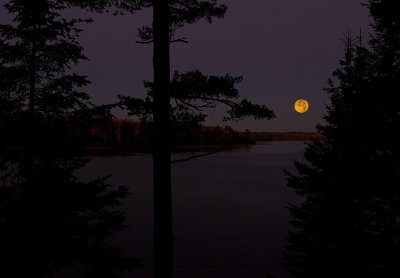 g1/68/382268/3/104967803.QGpfHds0.jpg