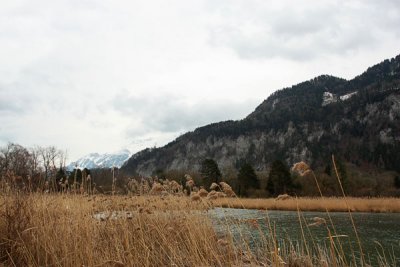 In the Weissenau nature reserve