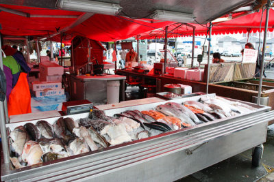 Fish