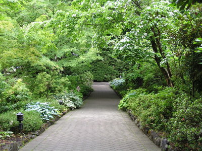 Butchart Gardens