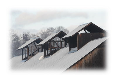 Longhouse
