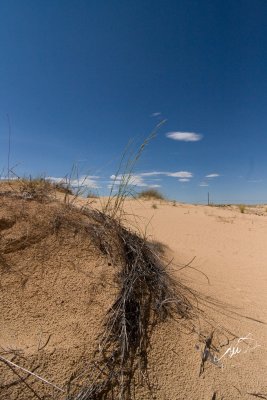 dunes 1.jpg