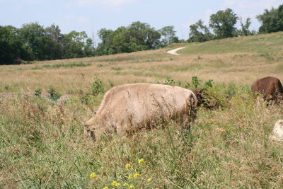 2009 07 10 025.JPG