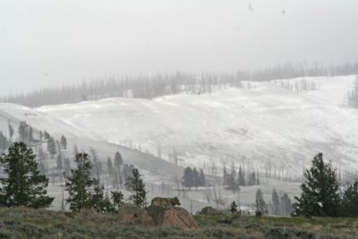 yellowstone2010