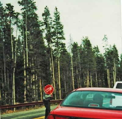 Grand Teton National Park 1999