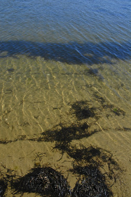 Morris Island-2.jpg