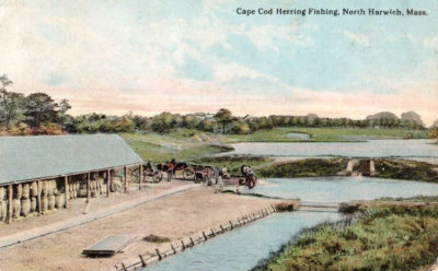 Herring Run North Harwich.jpg