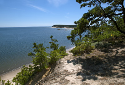 RC-0910-0081-COPY.jpg