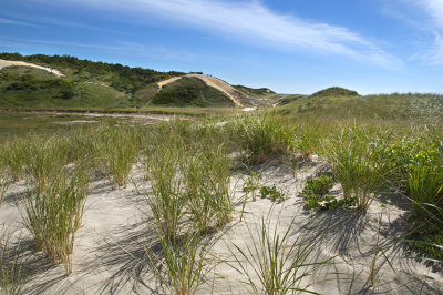 RC-0910-0085-COPY.jpg