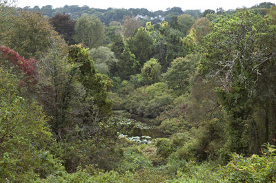 RC-0910-0095-COPY.jpg