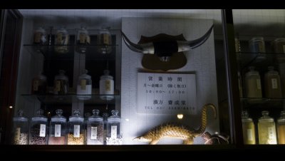 The Chinese Pharmacy (P100_89.jpg)