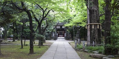 Akasaka Hikawa Shrine VIII