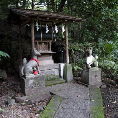 Akasaka Hikawa Shrine IX
