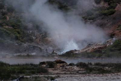 EPV0021_resize.jpg
