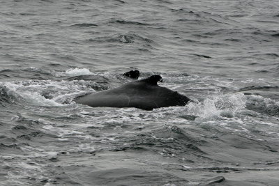 IMG_7547duplicate.jpg