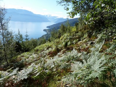 P1000540.JPG