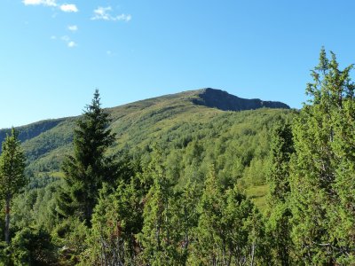 P1000631.JPG