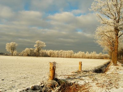 A cold and sunny day around Ruinen