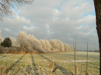 The walk continued