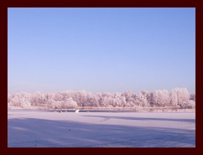 Frost december-2.jpg