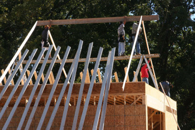 Shop rafters go up